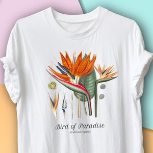 Bird of Paradise Vintage Botanical T-Shirt, Tropical Plant Gardening Gift, Environmentalist, Ecologist, Hawaiian Flowers