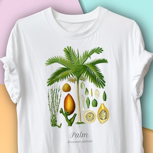 Peut inclure: T-shirt blanc avec une illustration botanique détaillée d'un palmier et de ses parties. Le motif comprend un palmier vert, une coupe transversale de fruit et le texte "Palm Arecaeae palmae".
