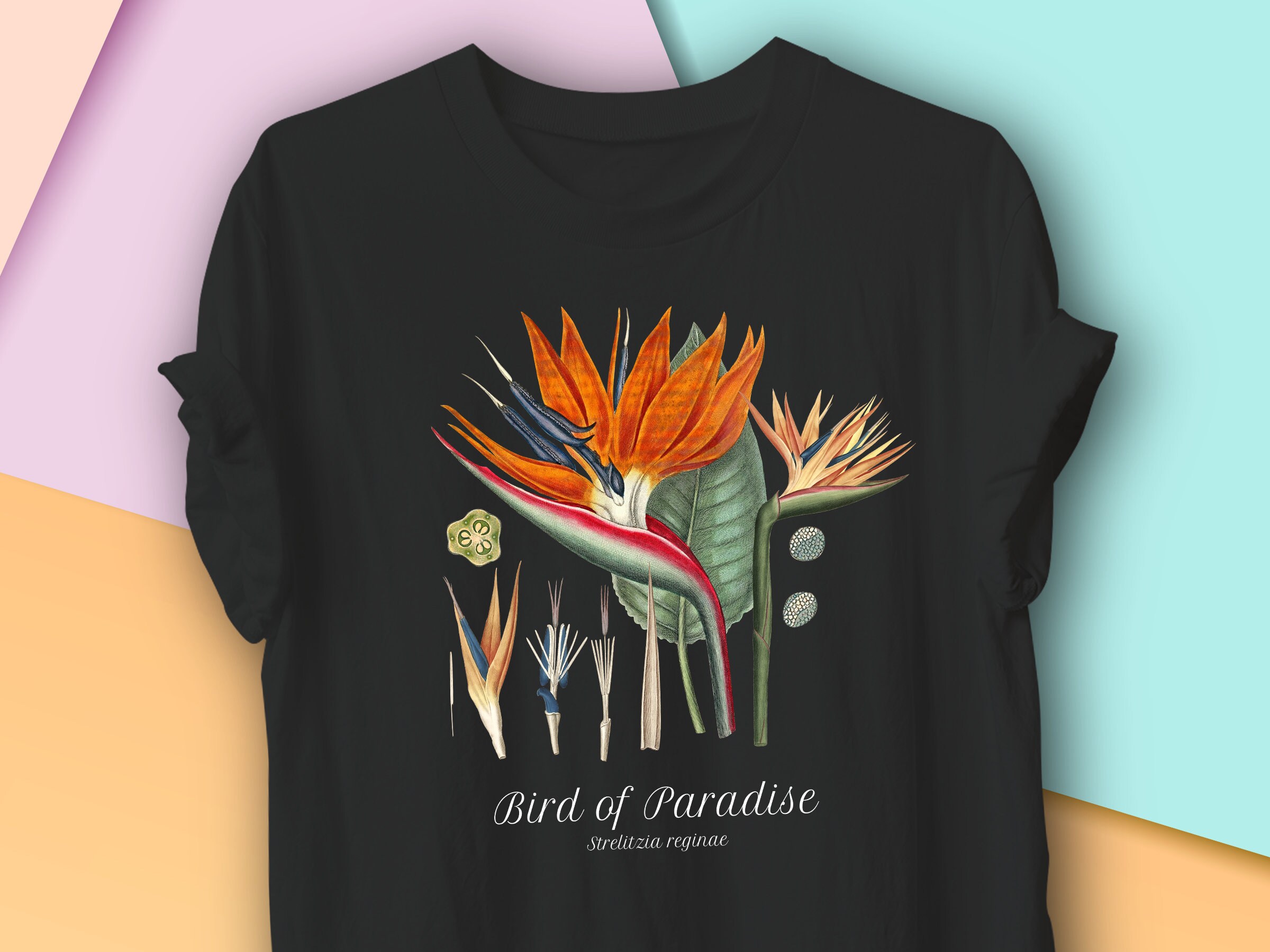 Bird of Paradise Vintage Botanical T-shirt, Tropical Plant Bird of Paradise Vintage Botanical T-shirt, Tropical Plant