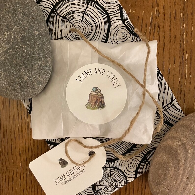 Painted Rocks, Turtle Rock Painting, Painted Rocks for Garen, Tropical