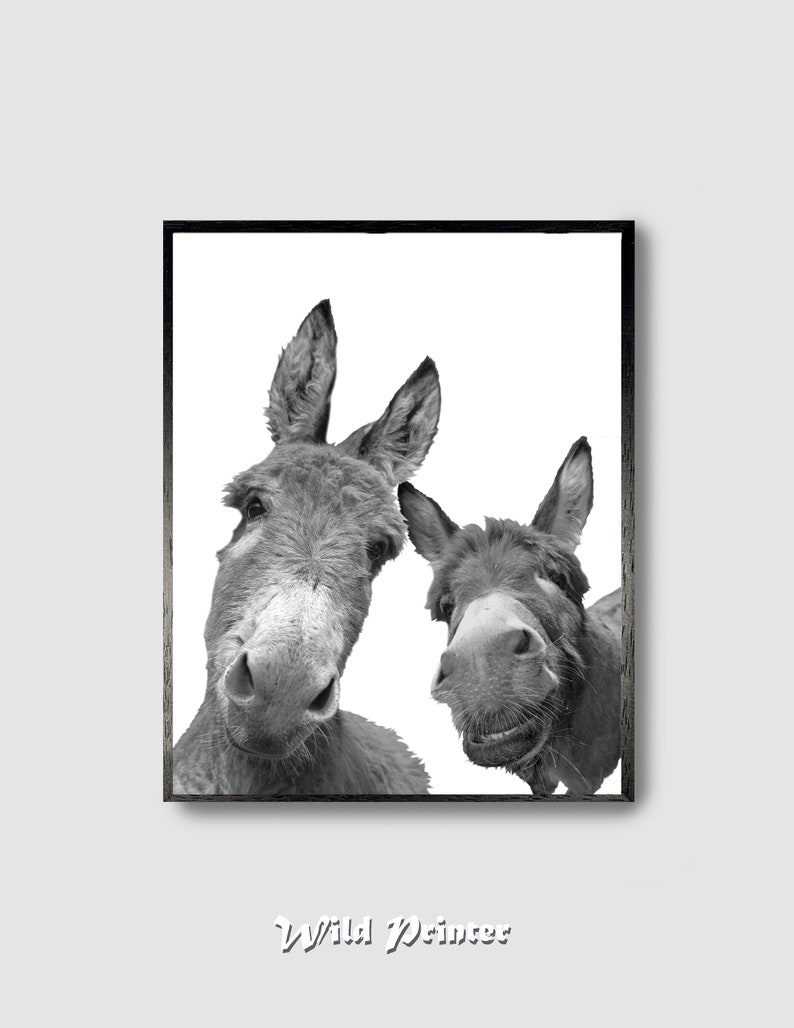 Black & White Donkey Wall Art Mexican Burros Print Funny Etsy