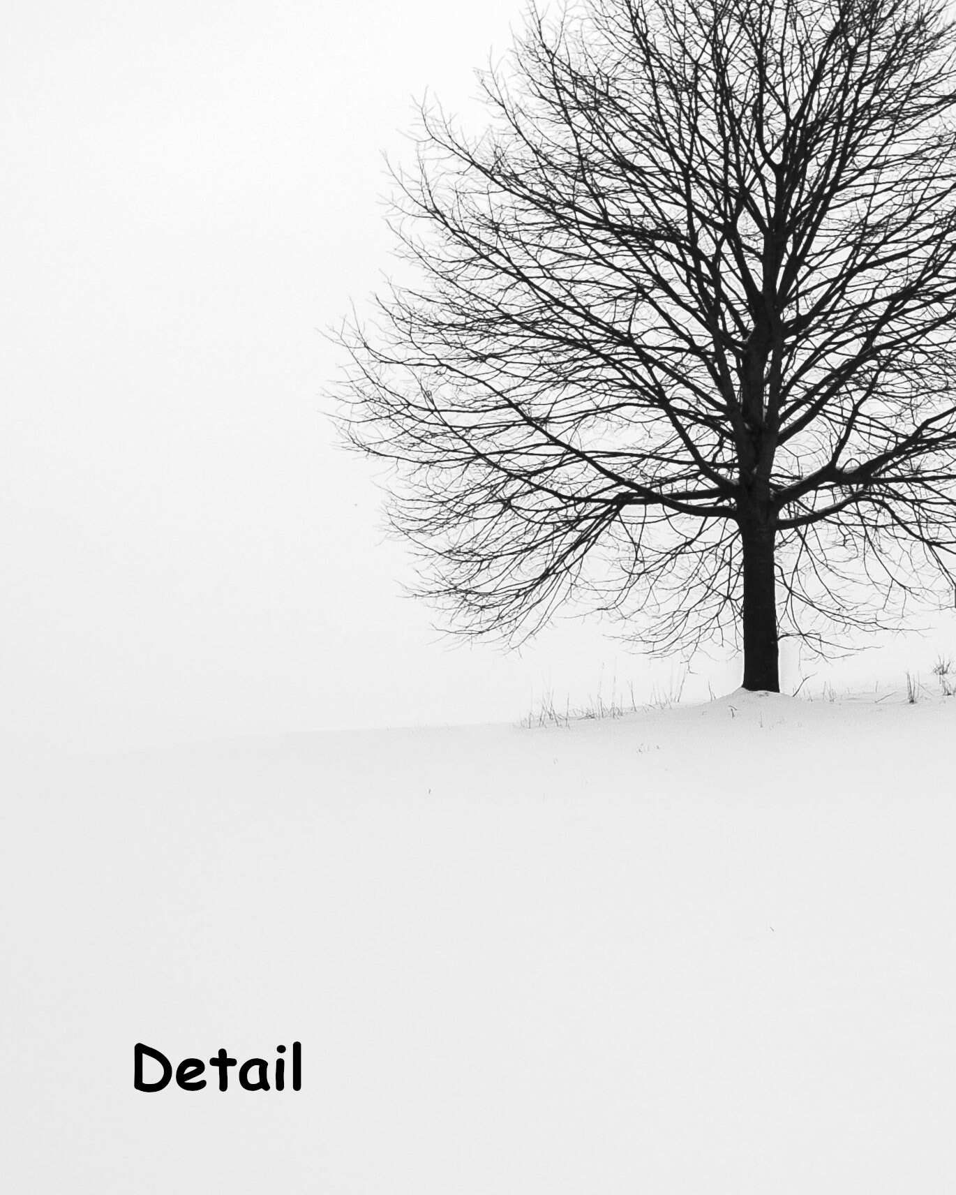 Black & White Oak Tree Print Minimalist Poster Peaceful Wall Etsy