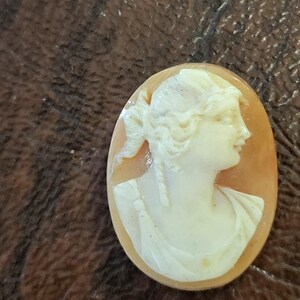 Antique Unmounted Carved Shell Cameo, Older Cameo with Image of a Woman with a Draped Gown and Great for Jewelry Project