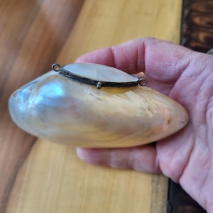 May include: A small, pearlescent shell box with a silver hinged lid. The box is closed and the lid is decorated with a small, oval-shaped piece of mother-of-pearl.