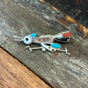 May include: A silver and turquoise grasshopper pin with a black and red eye. The grasshopper is made of various stones and is a beautiful piece of jewelry.