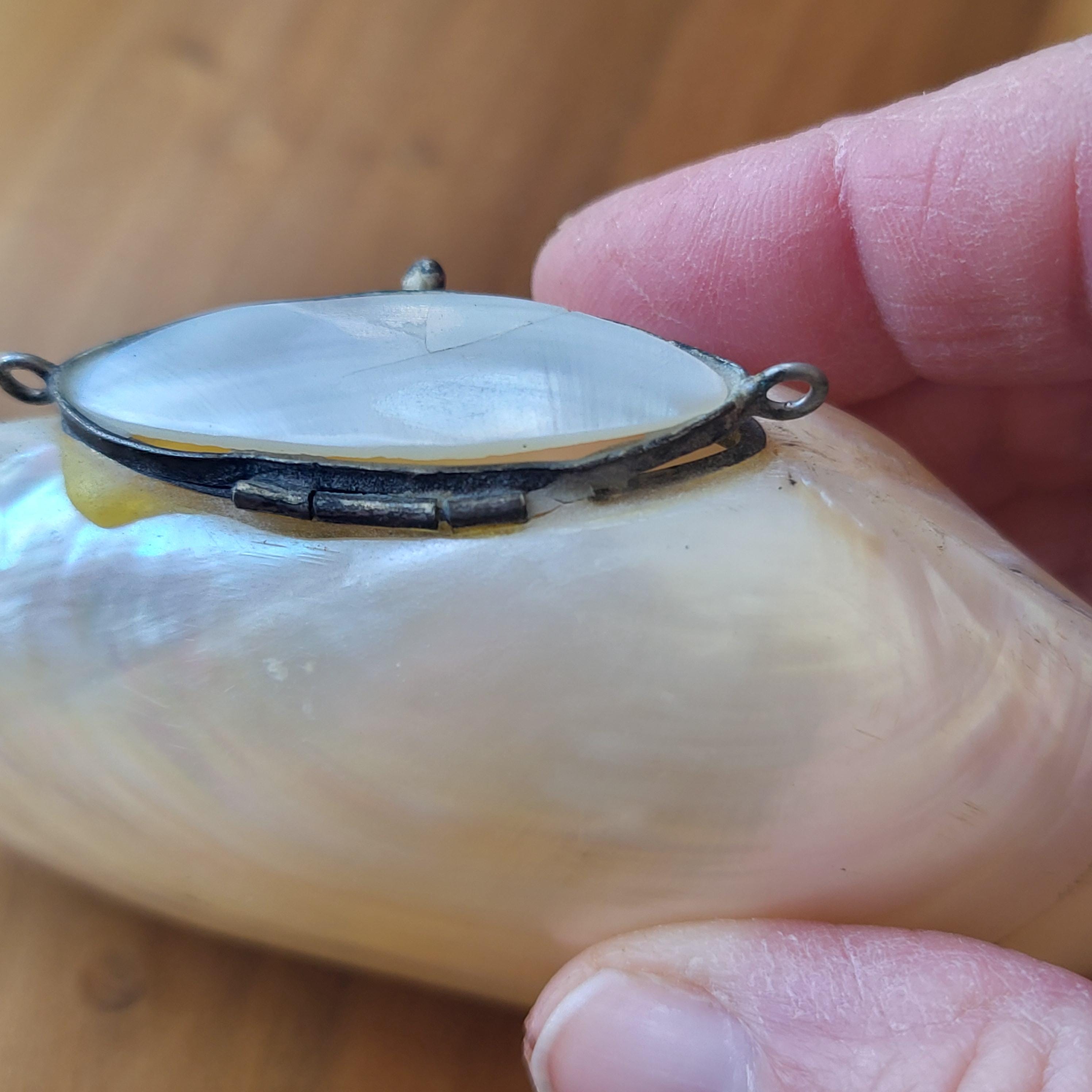 Shell Snuff Box England Vintage Victorian Shell Snuff Box, Lustrous Shell With Hinged Top ...