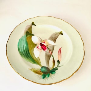 RARE Fine 19th Century (1874) Attributed to Wenceslas Mussill MINTON ORCHID Cabinet Plate for Thomas Goode, South Audley Street London