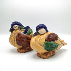 Pu&ograve; includere: Due statuine di anatra in ceramica dipinte di marrone, giallo, verde e blu. Le anatre sono rivolte in direzioni diverse.