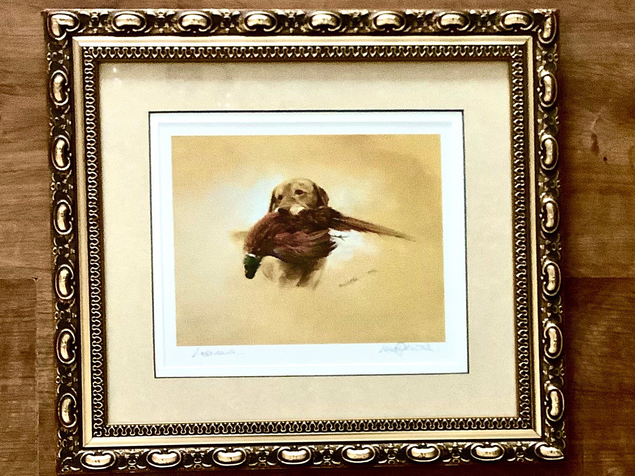 Superb Keith Proctor Labrador with Pheasant Original Artwork Etsy