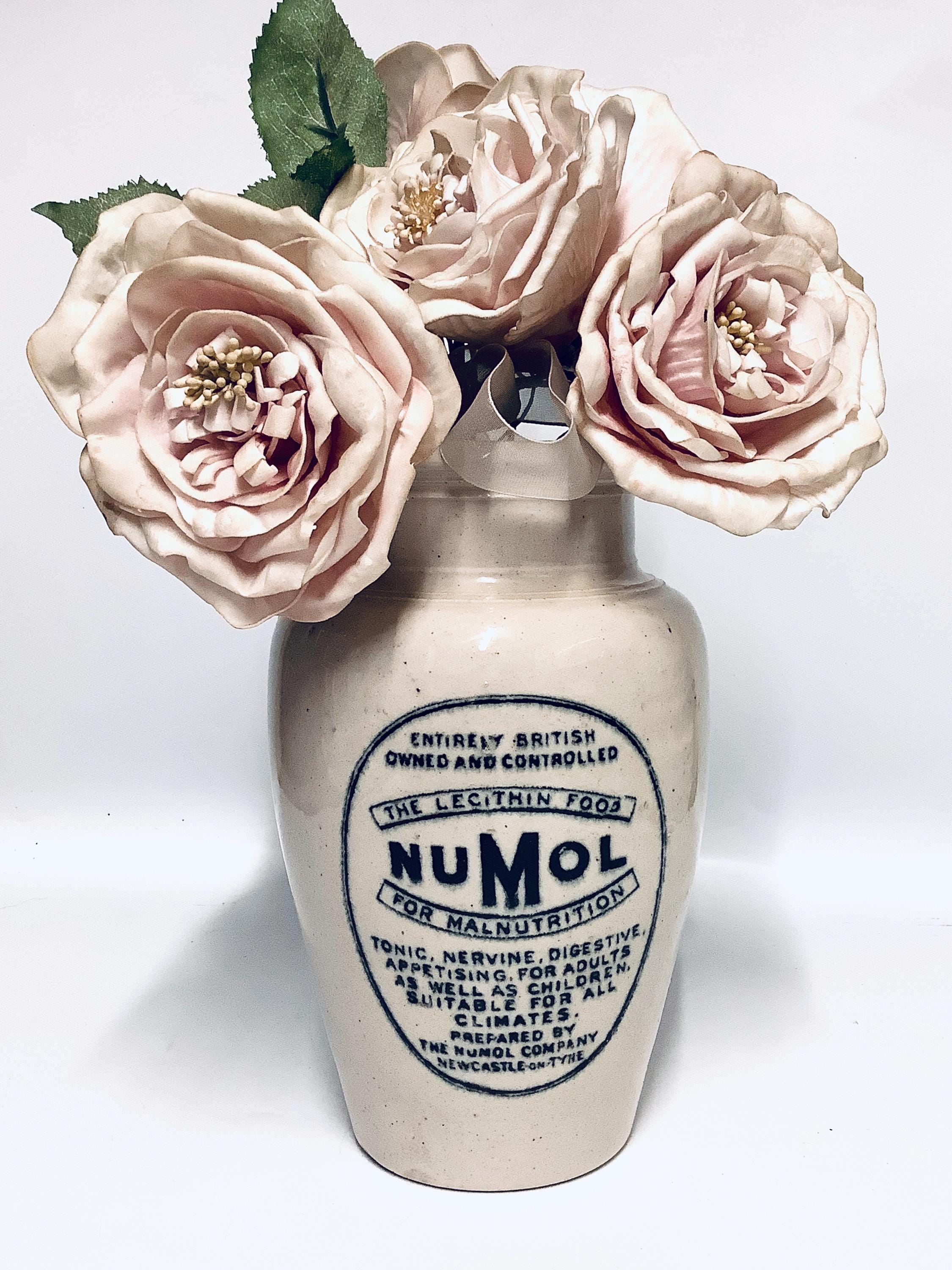 Extra Large Antique “NUMOL for MALNUTRITION” ADVERTISING Jar ...