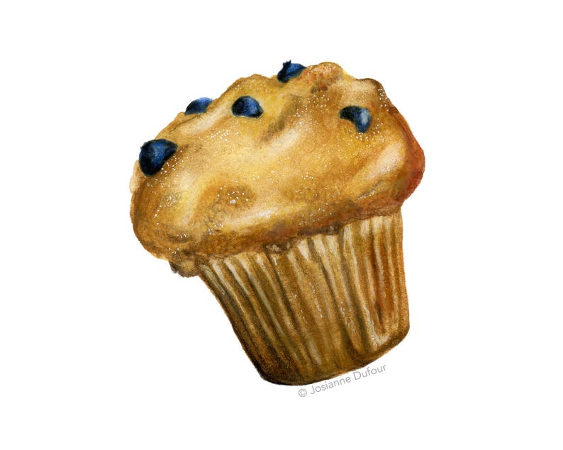 Blueberry Muffin Art Print Food watercolor illustration Etsy
