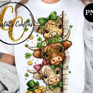 May include: White t-shirt with a colourful illustration of three Highland cows, each wearing St. Patrick's Day decorations. The cows have green bows, shamrock garlands, and heart-shaped glasses. Gold coins and shamrocks are scattered around.