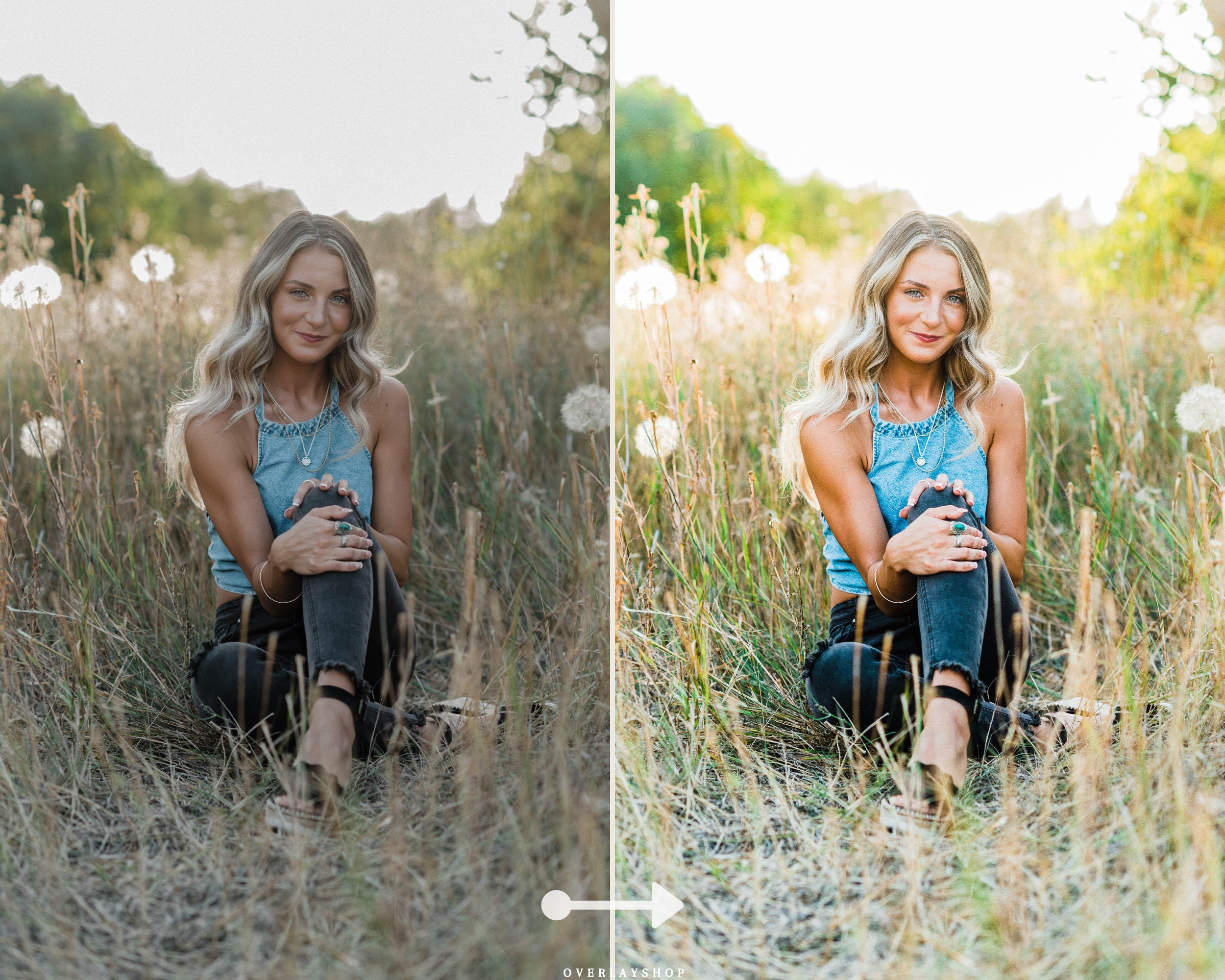 Presets Lightroom Desktop At Olga Patrick Blog