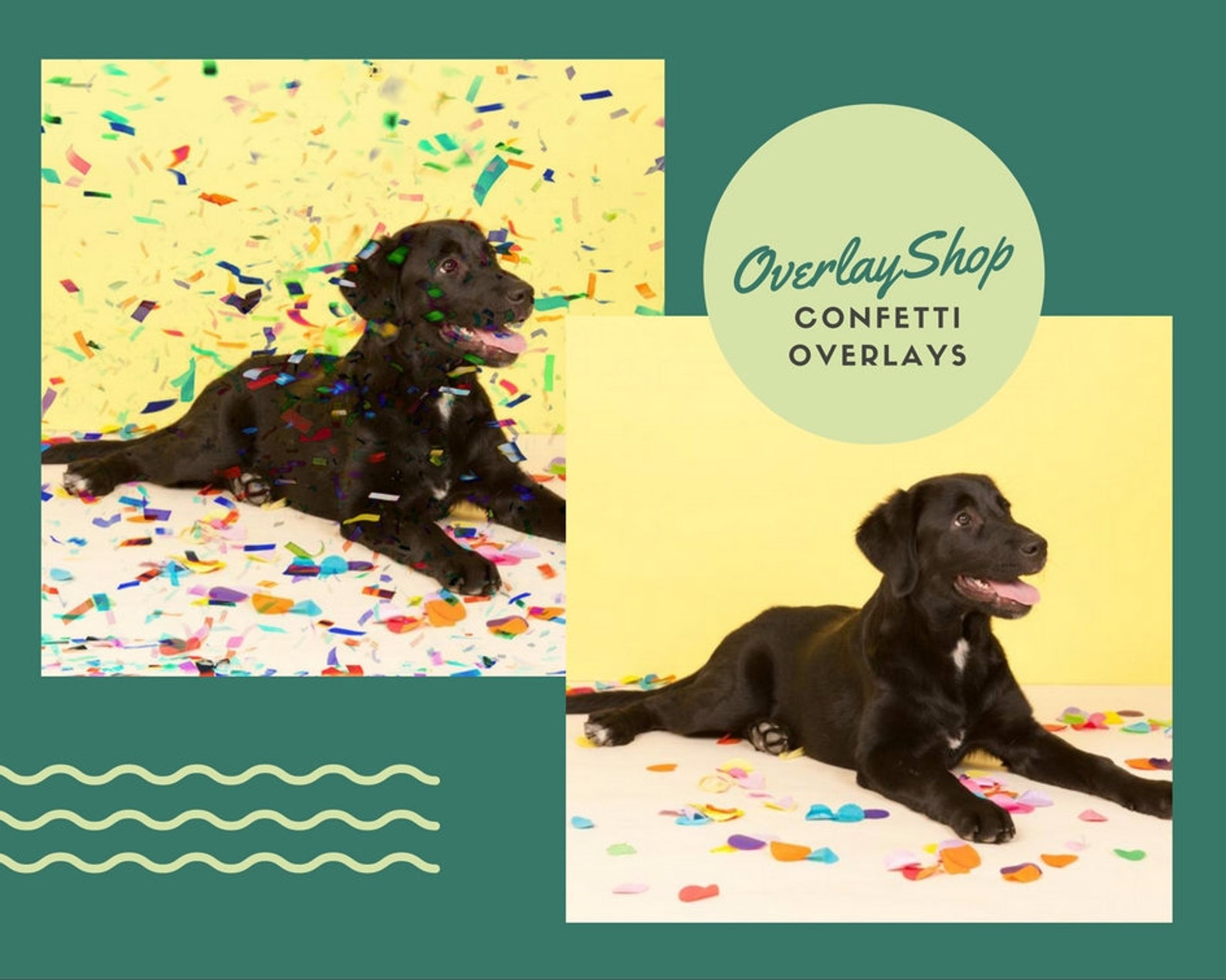 60 Confetti Overlays Wedding Birthday Etsy