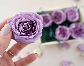 Freeze Dried Bouquet Etsy