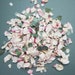 see more listings in the Flower Petal Confetti section