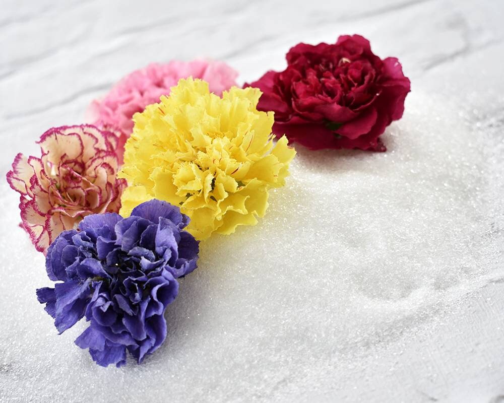 Flower Drying Crystals Silica Gel Flower Preservation Etsy