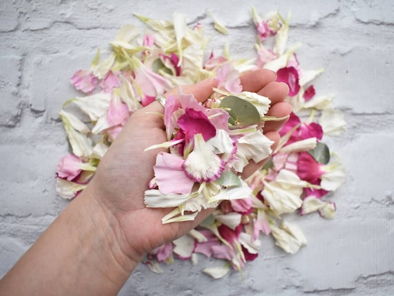 Confeti de boda biodegradable / Pétalos de flores reales / Claveles  liofilizados Hoja de eucalipto / Rosa blanco verde / Novia ruborizada 1  litro -  México