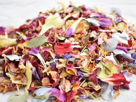 Buy ROSE PETALS CONFETTI 55MM BIODEGRADABLE