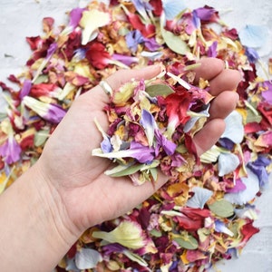 Biodegradable Confetti | Wedding Confetti | Real Petal Confetti | Dried Flower Confetti |  100% Natural Slowfall Rainbow Mix | 1 Litre