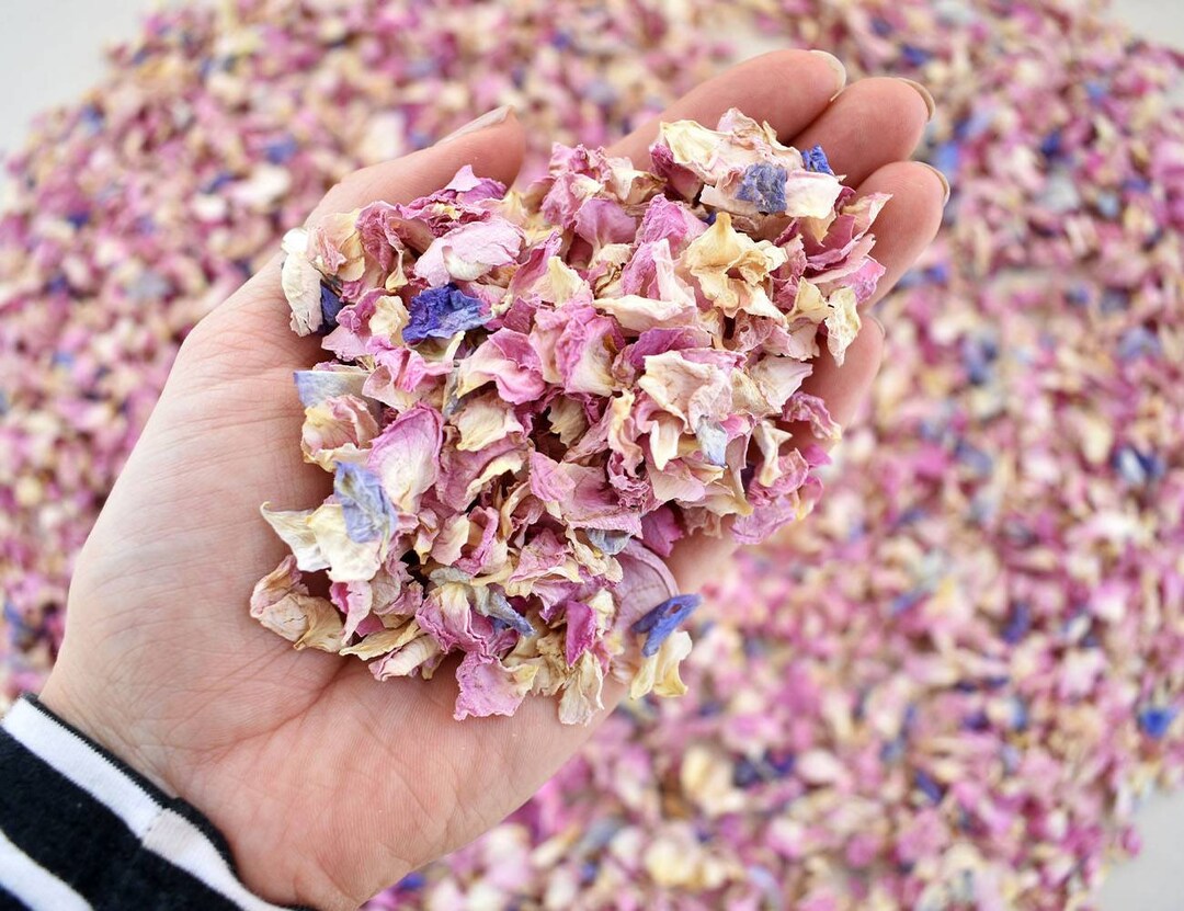 Wedding Confetti Real Flower Petal 100 Natural Biodegradable Throwing