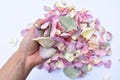 4 Litres | Mixed Freeze Dried Rose Petal Confetti | Natural Confetti | Biodegradable