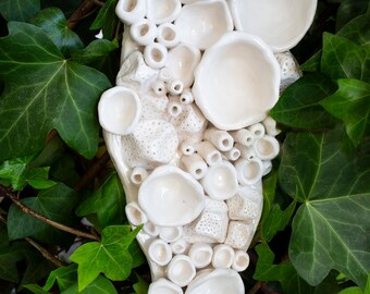 Puede incluir: Escultura de pared de cerámica blanca que se asemeja a un coral con una variedad de formas y tamaños. La escultura es texturizada y tiene un aspecto natural y orgánico.