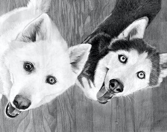 Custom made two Dogs Portrait Drawing in charcoal pencil - Alaskan dog, Rottweiler, hound dog