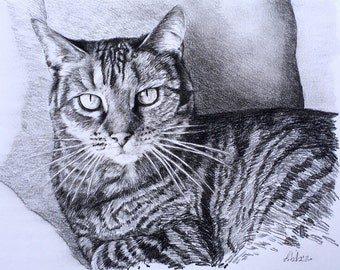 Custom Cat Pencil Portrait – Realistic Pet Charcoal Drawing