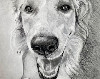 Realistische portrettekening van een golden retriever en andere honden in houtskoolpotlood