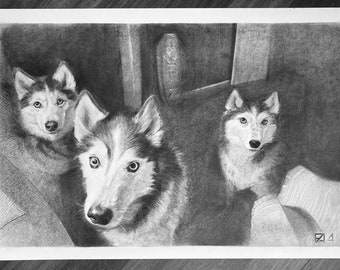 Realistisch houtskooltekening portret van uw honden