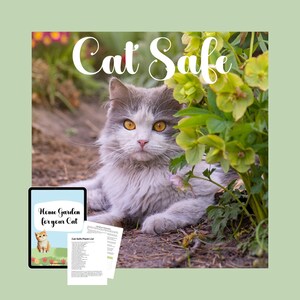 Dog Safe, dog Garden, pet garden, cat garden, garden lovers, garden gift, garden Planning, garden Guides, garden tips, garden log book, home garden, for her, for him, gift for mom, gift for dad, dog mom, dog dad, cat mom, cat dad, pet