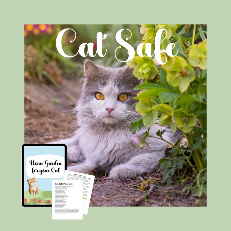 Dog Safe, dog Garden, pet garden, cat garden, garden lovers, garden gift, garden Planning, garden Guides, garden tips, garden log book, home garden, for her, for him, gift for mom, gift for dad, dog mom, dog dad, cat mom, cat dad, pet