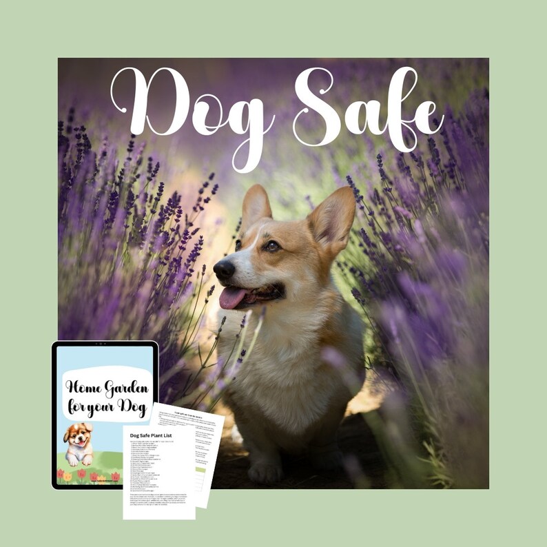 Dog Safe, dog Garden, pet garden, cat garden, garden lovers, garden gift, garden Planning, garden Guides, garden tips, garden log book, home garden, for her, for him, gift for mom, gift for dad, dog mom, dog dad, cat mom, cat dad, pet
