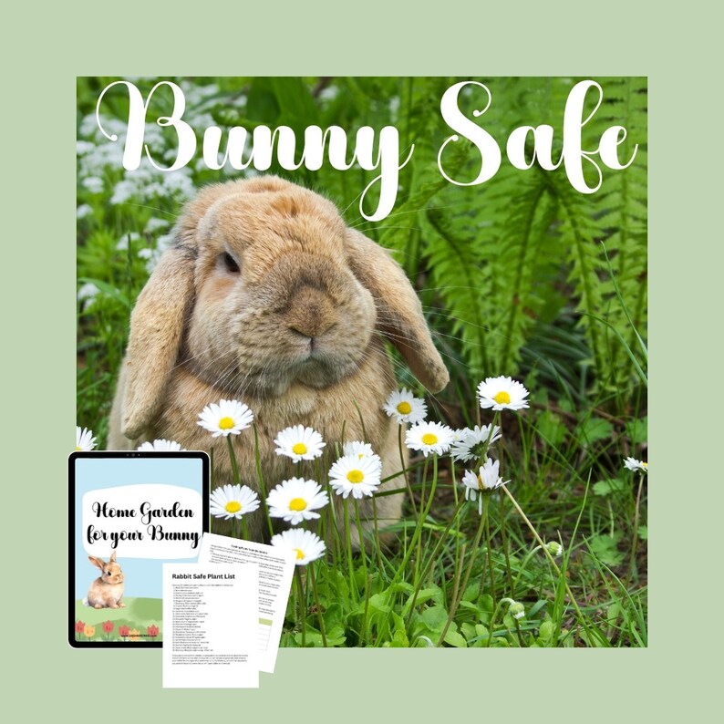 Dog Safe, dog Garden, pet garden, cat garden, garden lovers, garden gift, garden Planning, garden Guides, garden tips, garden log book, home garden, for her, for him, gift for mom, gift for dad, dog mom, dog dad, cat mom, cat dad, pet