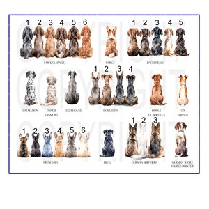 May include: A chart with illustrations of different dog breeds, numbered 1 through 6. The breeds are Cocker Spaniel, Corgi, Dachshund, Dalmatian, Dandie Dinmont, Deerhound, Doberman, Dourge de Bordeaux, Fox Terrier, Frenchies, Frug, German Shepherd, and German Short Haired Pointer.