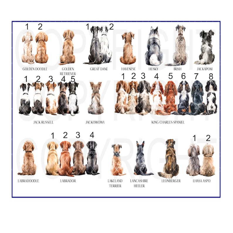 May include: A chart with illustrations of different dog breeds. The chart shows the dogs from the back, with their tails curled up. The breeds are labeled with their names: Golden Doodle, Golden Retriever, Great Dane, Havanese, Husky, Irish, Jackapoo, Jack Russell, Jackowowa, King Charles Spaniel, Labradoodle, Labrador, Lakeland Terrier, Lancashire Heeler, Leonberger, and Lhasa Apso.