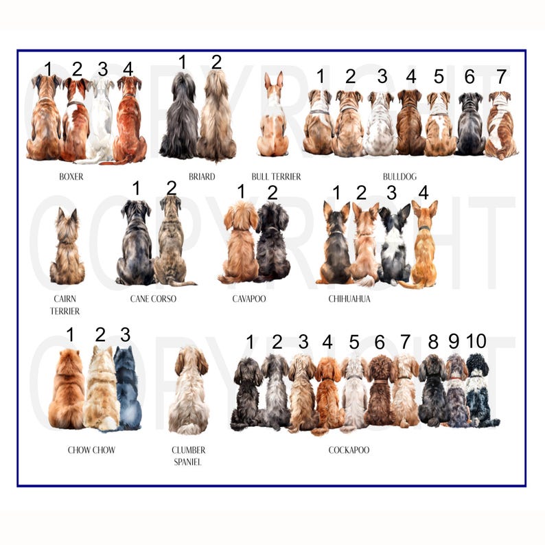 May include: A chart with illustrations of different dog breeds. Each breed is numbered 1 through 10, with the breed name listed below. The breeds include Boxer, Briard, Bull Terrier, Bulldog, Cairn Terrier, Cane Corso, Cavapoo, Chihuahua, Chow Chow, Clumber Spaniel, and Cockapoo.