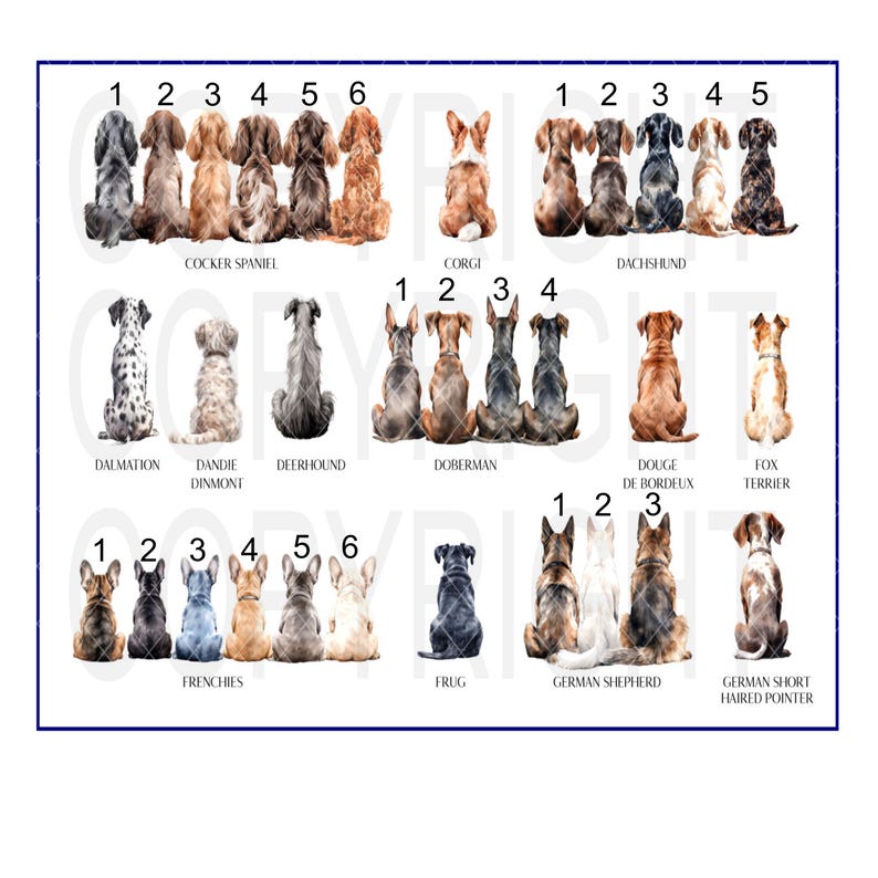 May include: A chart with illustrations of different dog breeds, including a Cocker Spaniel, Corgi, Dachshund, Dalmatian, Dandie Dinmont, Deerhound, Doberman, Dogue de Bordeaux, Fox Terrier, French Bulldog, Frug, German Shepherd, and German Short-haired Pointer.