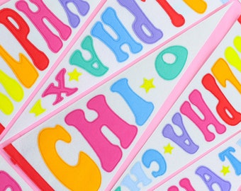 Sorority Rainbow Pennant Flag
