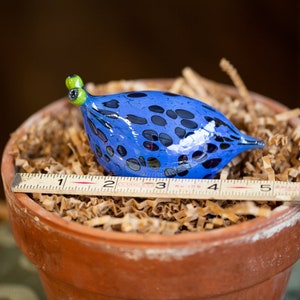 Blue glass slug scale 5in