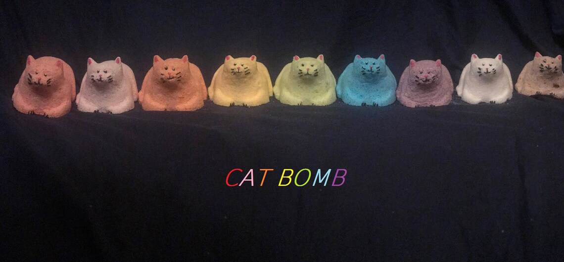 Homemade Cat Bomb CatShaped Bath Bomb Etsy
