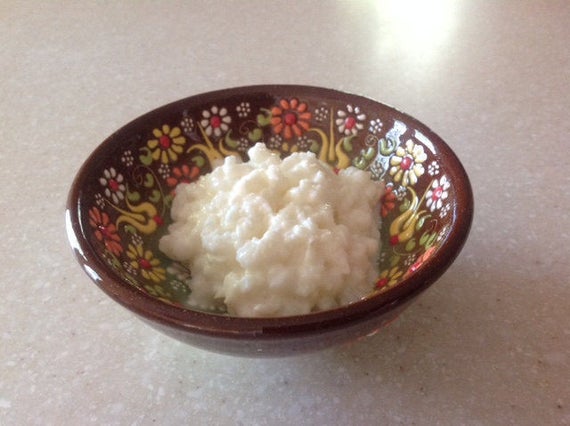 milk kefir grains 2