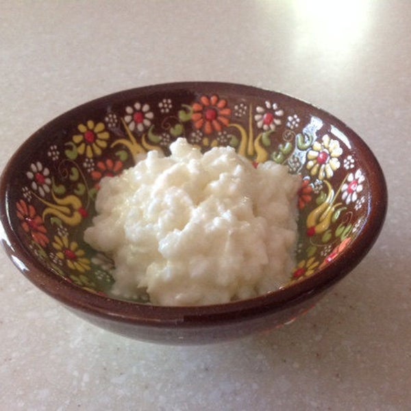 Milk Kefir Grains (1 heaping Tbsp)