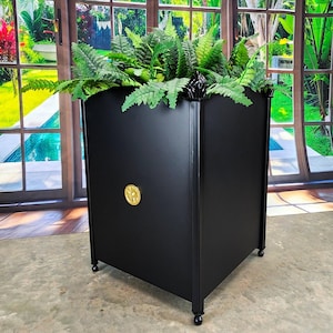 Könnte beinhalten: Schwarzer Metall-Pflanzkasten mit goldener Akzent, gefüllt mit grünen Pflanzen. Der Pflanzkasten steht auf einem Betonboden vor einem großen Fenster.