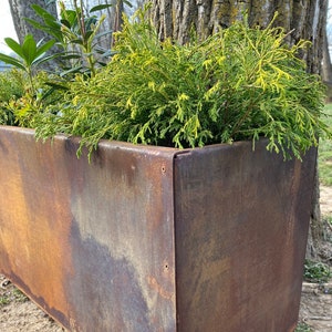 Metal Trough Planter 30 x 12 x 14 Medium Rectangular Planter Spring Annual Planter Pot Raw Steel Will Develop Natural Rusty Patina image 1