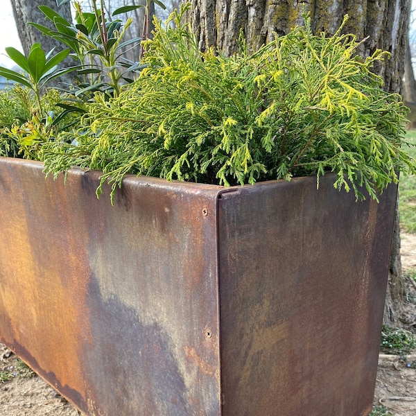 Metal Trough Planter 30" x 12" x 14" - Medium Rectangular Planter - Spring Annual Planter Pot - Raw Steel Will Develop Natural Rusty Patina