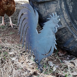 Rustic Metal Rooster - Country Kitchen Decor - Chicken Coop Wall Art - Farmhouse Garden Art - Modern Farmhouse Decor
