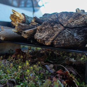 May include: A black metal stand with a piece of firewood resting on top. The stand is sitting on a bed of green moss and brown leaves.