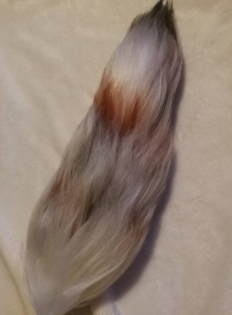 11 Browngreywhite Calico Tabby Cat Yarn Tail
